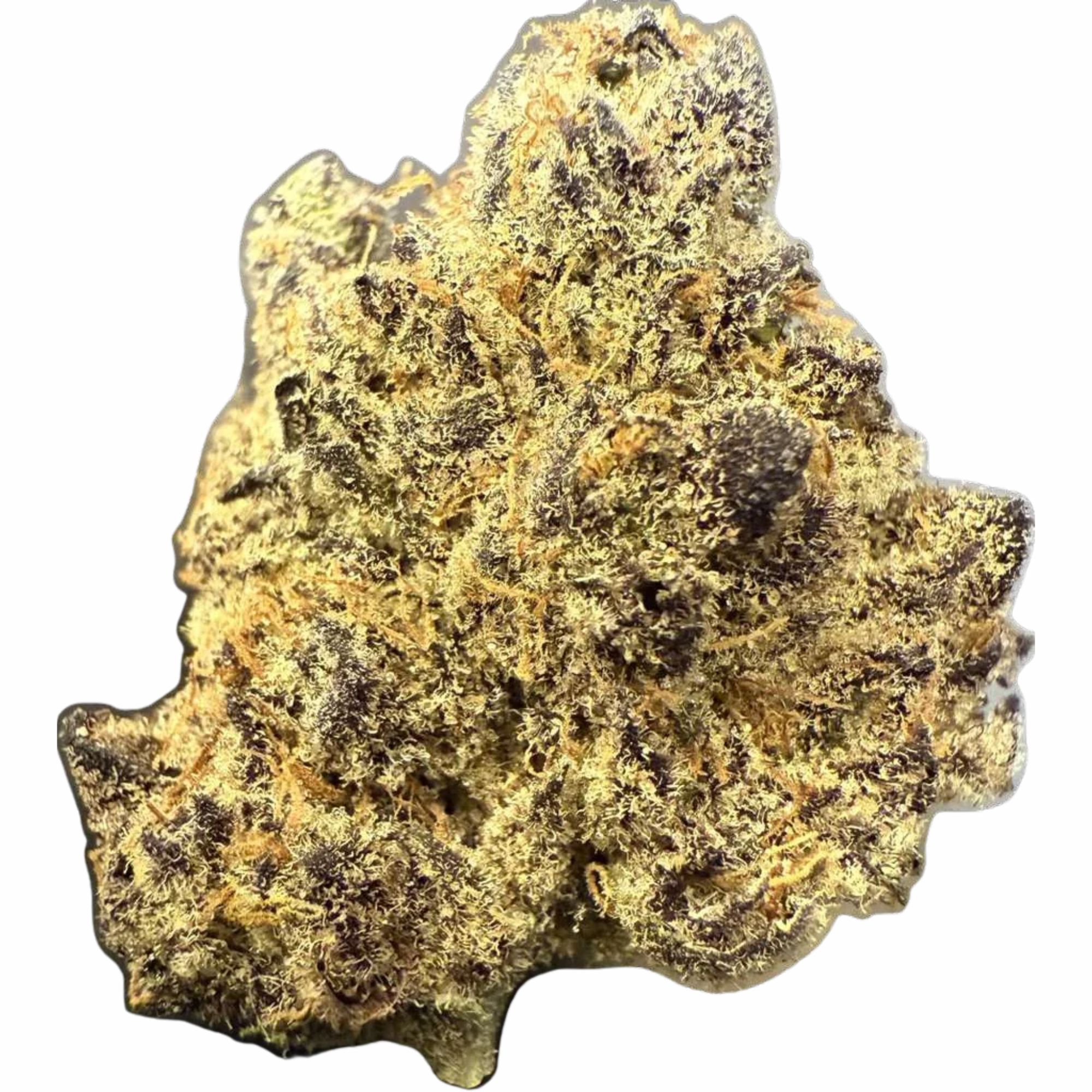 Indica