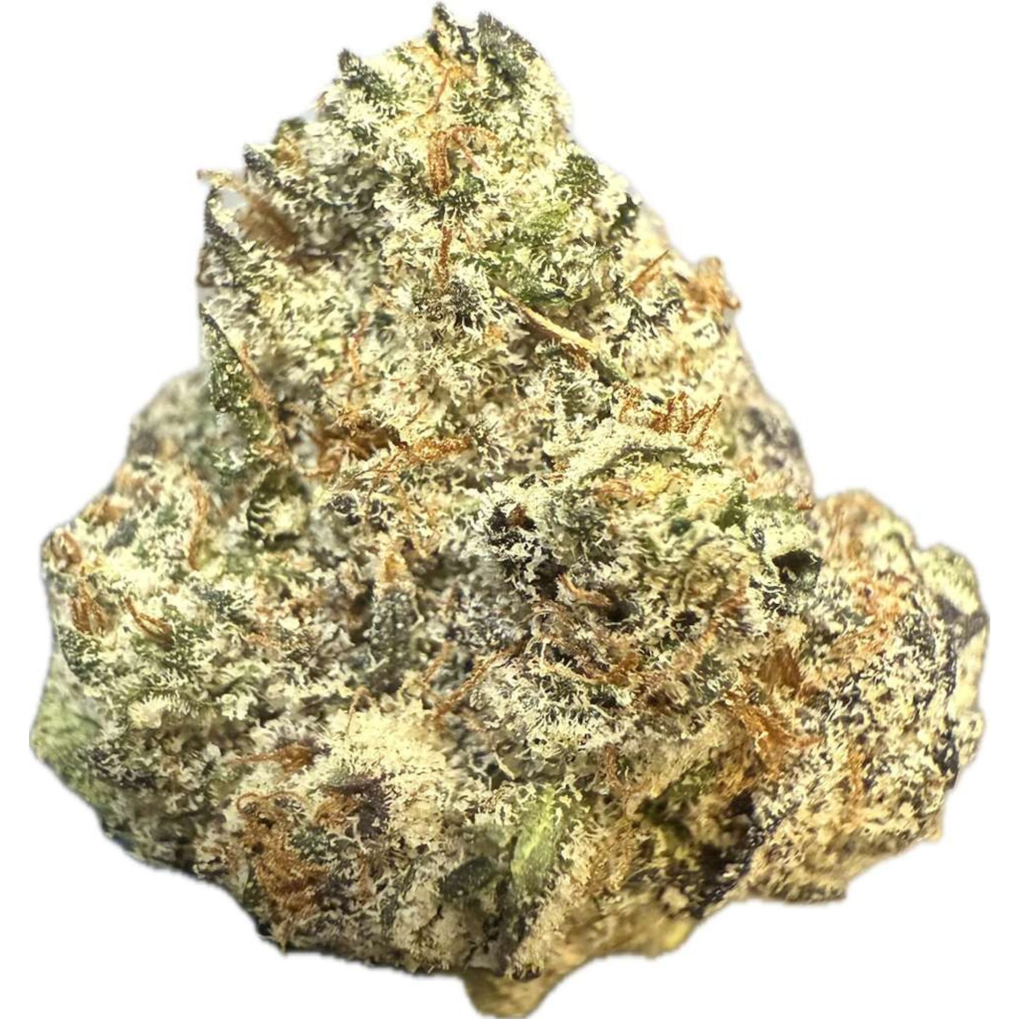 Indica