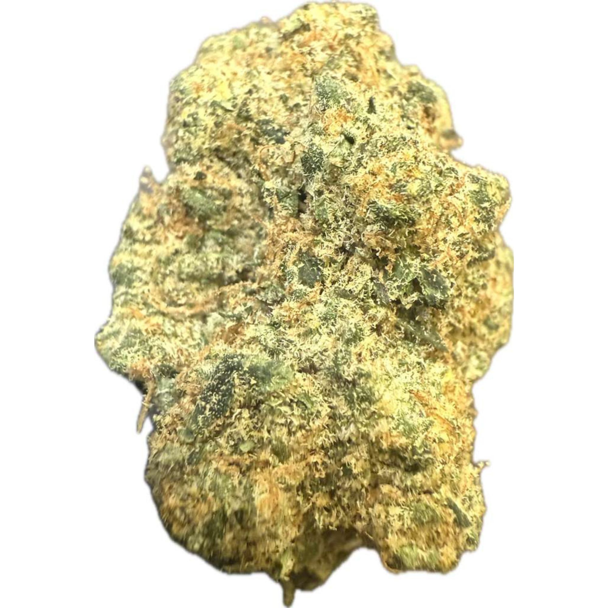 Sativa